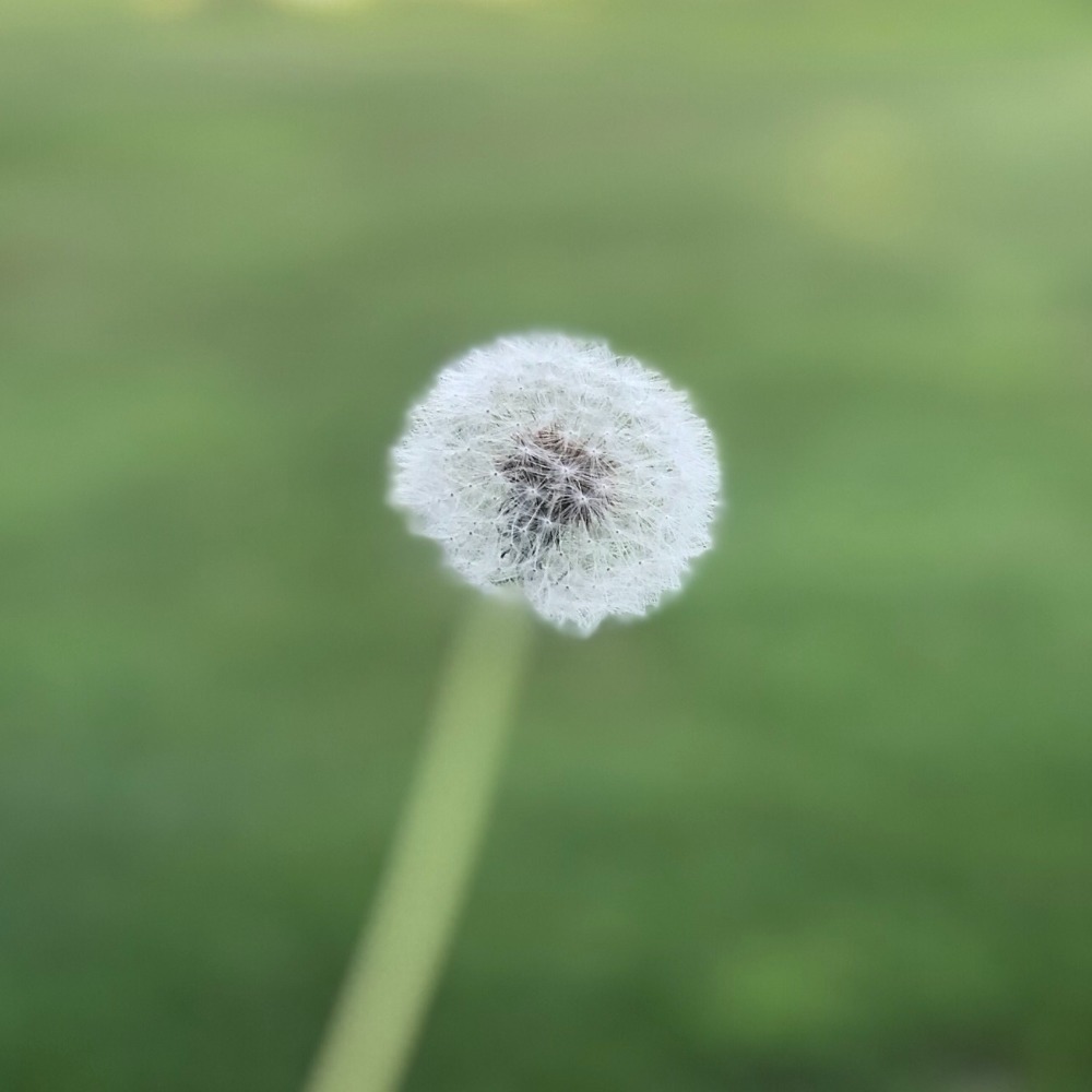 Meet your Posher, Jannia